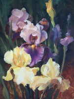 /album/sylvie-vernageau1/vol-de-nuit-huile-sur-toile-50x80-cm-jpg/
